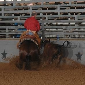 "Starbuck Git Ya Dun"