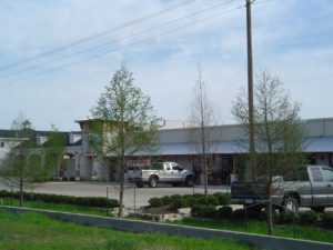 realtor in scottsdale