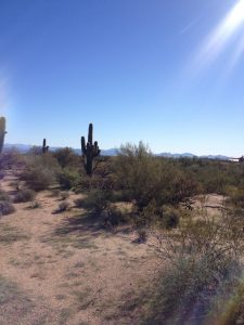 rio verde foothills owner financed land for sale,north scottsdale owner financed horse property for sale